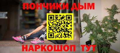 шишки Будённовск