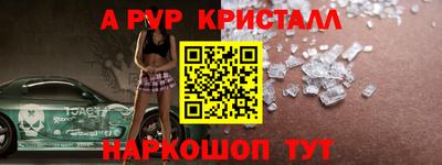 шишки Будённовск