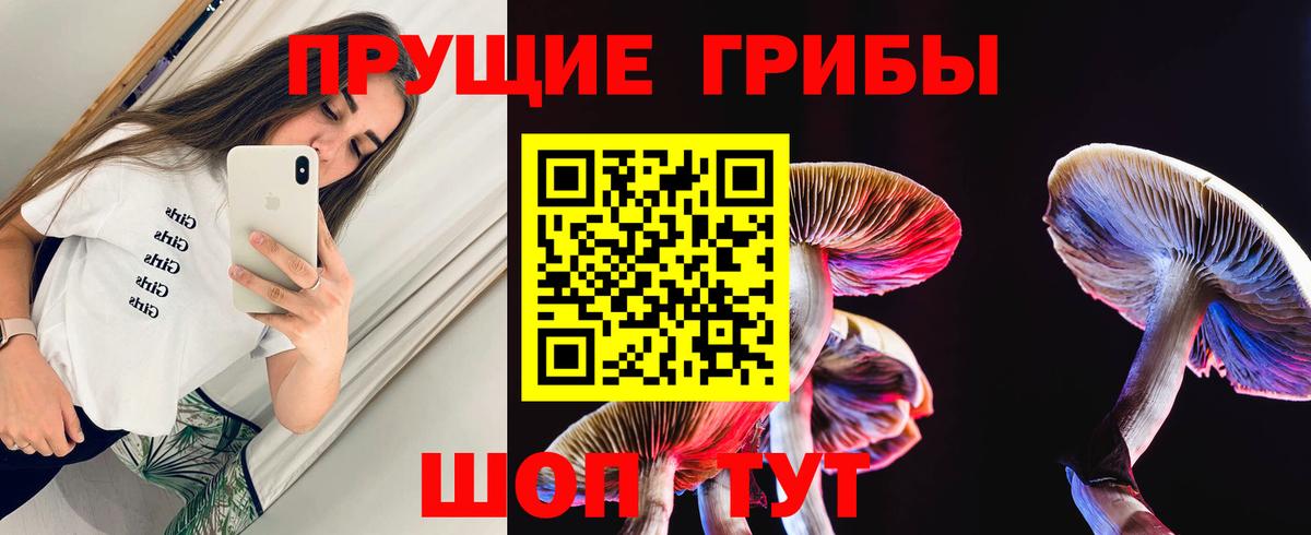 Псилоцибиновые грибы прущие грибы Рыбинск